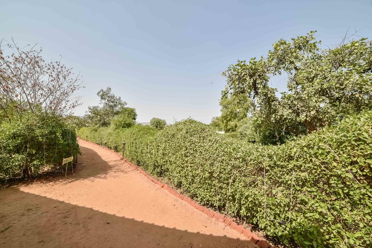 Pushkar Rajwara Resort Exterior foto